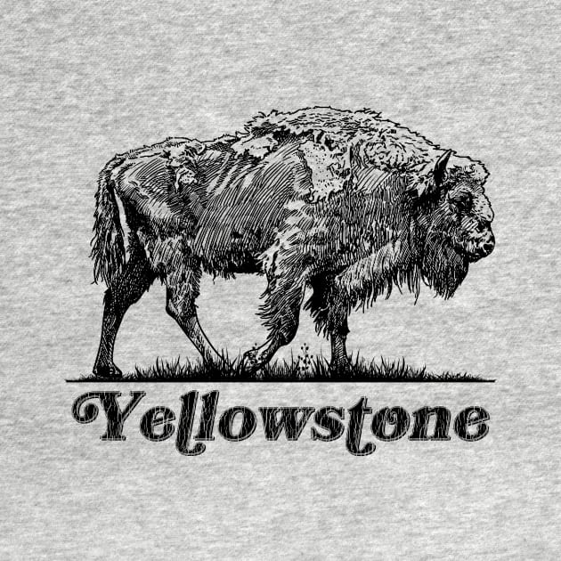 Yellowstone Bison Buffalo by alexanderahmeddm
